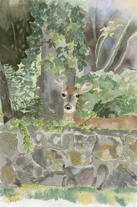 I see you - peeping deer!